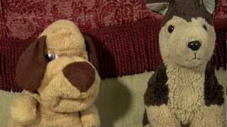 Steve and Stuffy's Dying Ears