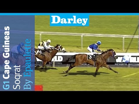 Soqrat by Epaulette wins the G1 Cape Guineas at Kenilworth