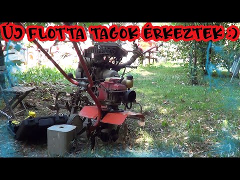 A legújabb flotta tagjaim - ma érkeztek