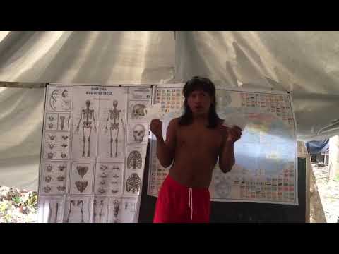 HervéTV n° 177: Iholalare explique aux élèves Enawenê Nawê où est Bastia!