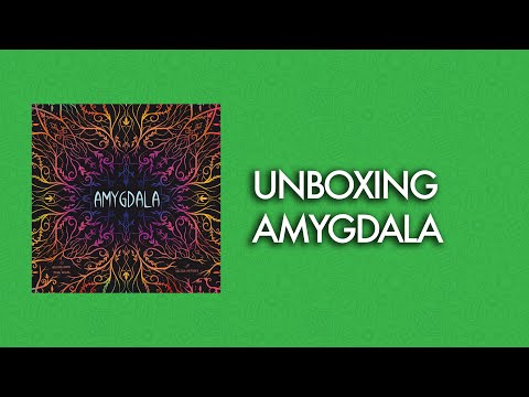 Amygdala | #unboxing #boardgames