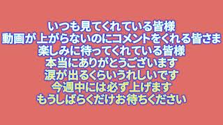 もう少しだけお待ちくださいm(__)m
