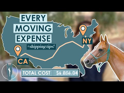 COST OF MOVING A HORSE ACROSS THE USA | Every Travel Expense + Shipping Tips | Equitation Station