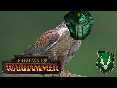 Total War Warhammer Live BattleCast #102: Wood Elves vs Empire - HAWKISH BUSINESS