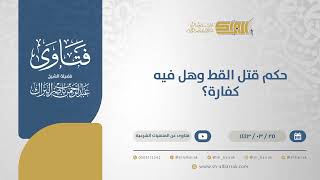 حكم قتل القط وهل فيه كفارة؟ - الشيخ عبدالرحمن البراك (12487) image