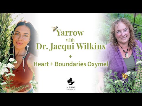 Yarrow with Dr. Jacqui Wilkins + Heart + Boundaries Oxymel