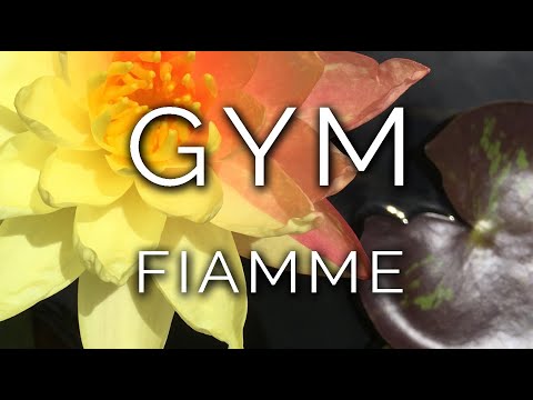 1368-IT Fulvia, GYM FIAMME - Ipnosi Esoterica ∞ Lucio Carsi