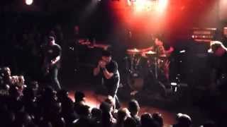 Pennywise - Something to Change (Houston 01.10.15) HD