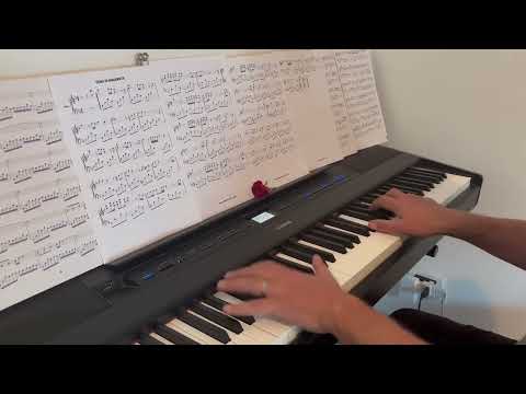 Gianluca Sibaldi, Tema di Amaranta (Il Paradiso all’improvviso) - Giovanni Sallemi Piano cover