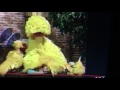 Big Bird Telly Ray Caroline And Zoe Sleeping