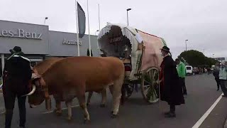 Romería de San Froilán Leon 2021 - Directo Resubido