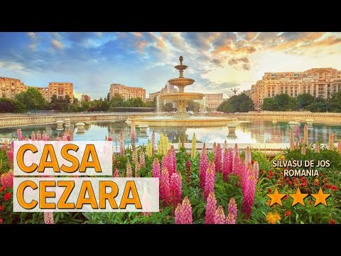 Casa Cezara hotel review | Hotels in Silvasu de Jos | Romanian Hotels