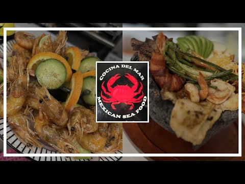 YouTube Video 1