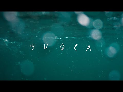 Bakalina Velika + Etno Histeria World Orchestra 2024 - Suoča