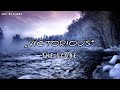 The Score - Victorious (Lyrics Video)