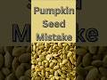 Pumpkin Seed Mistake Shorts Seeds Health