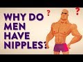 Why Do Men Have Nipples? Can Men Breastfeed and Who Are The Milkmen?