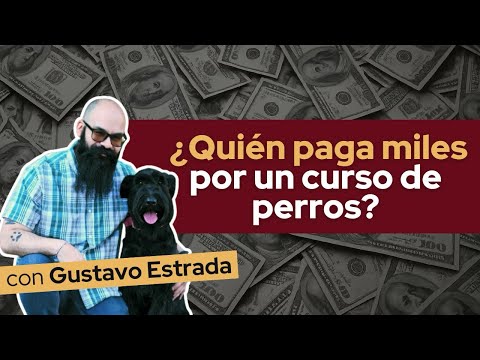 Entrevista con Gustavo Estrada