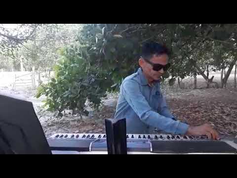Gleyfy Brauly - cover Guns N' Roses (Sweet Child O' Mine)