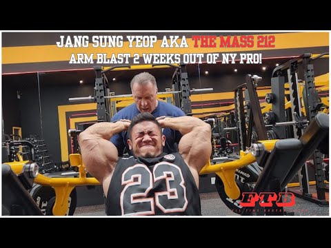 Jang Sung Yeop aka The Mass 212 trains arms 2 weeks out from the NY Pro, featuring Milos Sarcev.