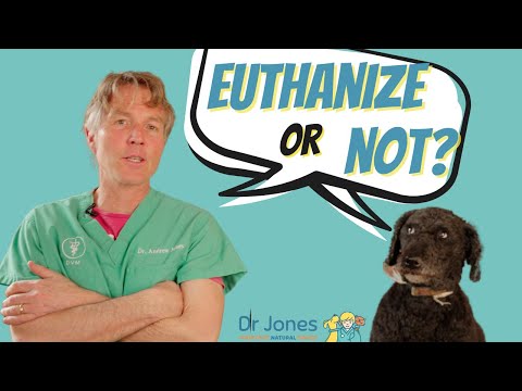 Problems With Euthanasia