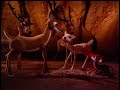 Rudolph The Red Nosed Reindeer Rudolph And Frosty S Christmas In July
