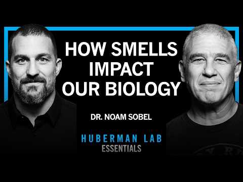 @hubermanlab - "Essentials: How Smells Influence Our Hormones, Health & Behavior | Dr. Noam Sobel"