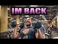 MY RETURN TO YOUTUBE. ARM DAY.