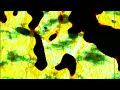 Brian Eno - Lizard Point