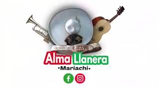 Video de Mariachi Alma Llanera