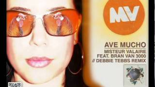Ave Mucho - Misteur Valaire ft. Bran Van 3000 (Debbie Tebbs Remix)