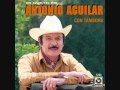 botoncito de rosal Antonio Aguilar