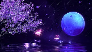 No Ads ★︎ Adhd Sleep Therapy ★︎ Easily Fall Into Deep Sleep ★︎ Remove Mental Blockage