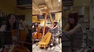 Download lagu 【チェロ×グランドハープ】アストル・ピアソラÁstor Pantaleón Piazzolla 「リベルタンゴLibertango」 mp3