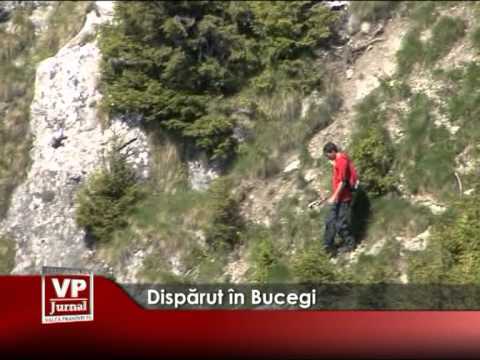 DISPARUT IN BUCEGI