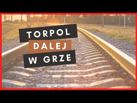Kolejne wyniki finansowe + ciekawostka - Torpol, Introl, Oponeo