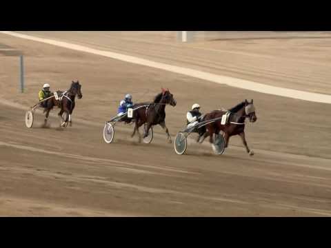 2017.02.18. 2. futam - 2017. ÉVI SEGÉDHAJTÓ KUPA HENDIKEP I. FUTAM