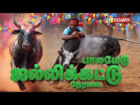 🔴LIVE: Madurai Palamedu Jallikattu 2026 | மதுரை பாலமேடு ஜல்லிக்கட்டு நேரலை | Pongal 2026 |Vasanth TV