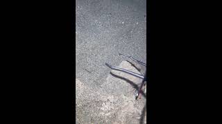 Download lagu 🔴 LIVE 2026-04-02 07:42:09 mp3