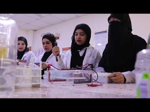 University of Kirkuk Video