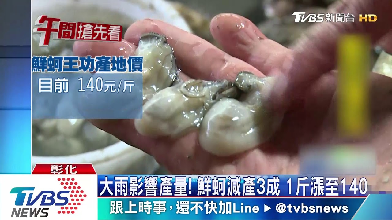大雨影響產量! 鮮蚵減產3成 1斤漲至140元