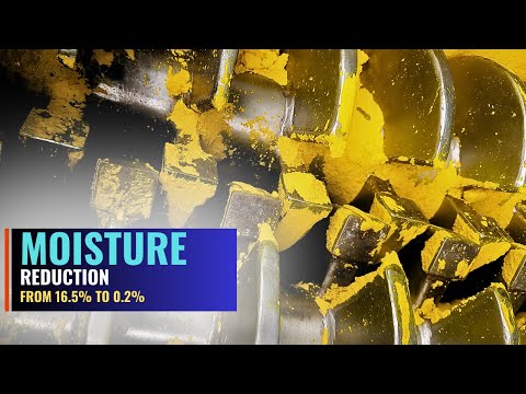 Heavy Duty Paddle Dryer Machine