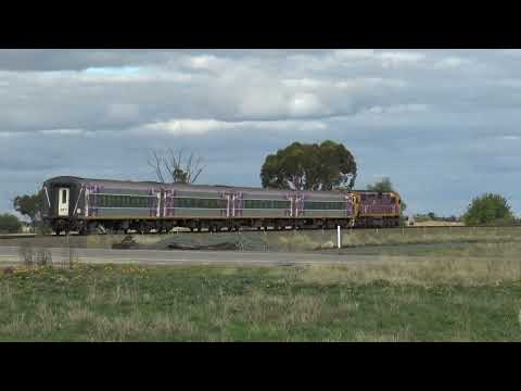 N456 from Swan Hill to Spencer Street at Mitiamo 2.5.2022