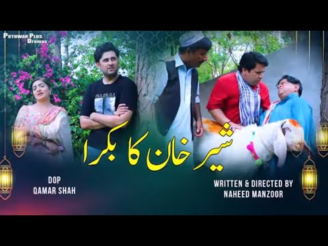 Sher Khan Ka Bakra - Shahzada Ghaffar - Mithu Khan - Pakistani chotu - Pothwari Drama