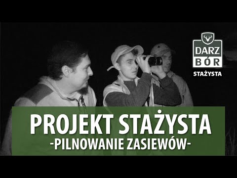 #2 PROJEKT STAŻYSTA - Pilnowanie zasiewów