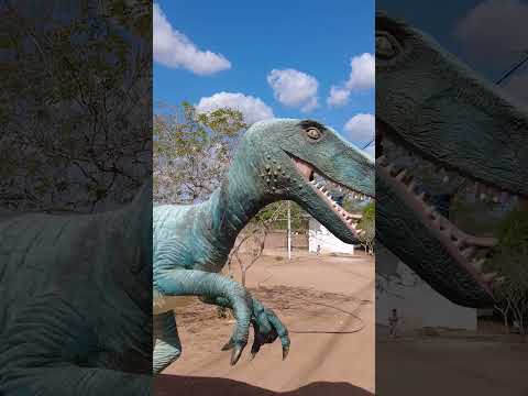 PARQUE MANDACARU EM LAGOA DE VELHOS 2026 #lilobarbosa #lagoadevelhos #parquemandacaru