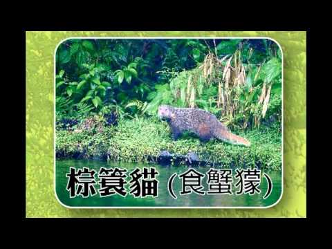 預防狂犬病 拉皮斯病預防