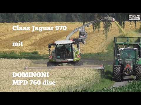 GPS häckseln XXL - Claas Jaguar 970 mit DOMINONI MPD 760 disc - Lohnunternehmen Zintl