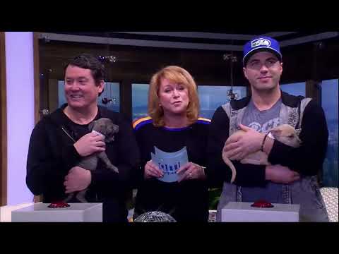 Doug Benson & Adam Ray Play a Round of Doug Loves Movies Cameo Edition