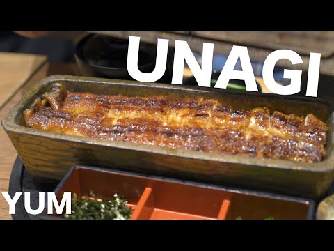 名古屋驚人的烤鰻魚（unagi）--Hitsumabushi (Amazing Grilled Eel (Unagi) in Nagoya- Hitsumabushi)